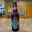 Tuborg Gold (33 cl)